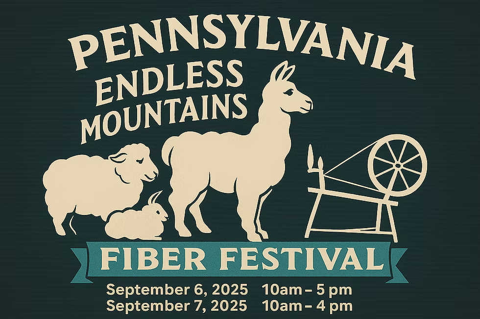 Promotional graphic for Pennsylvania Endless Mountains Fiber Festival with animals and a spinning wheel on a dark background.