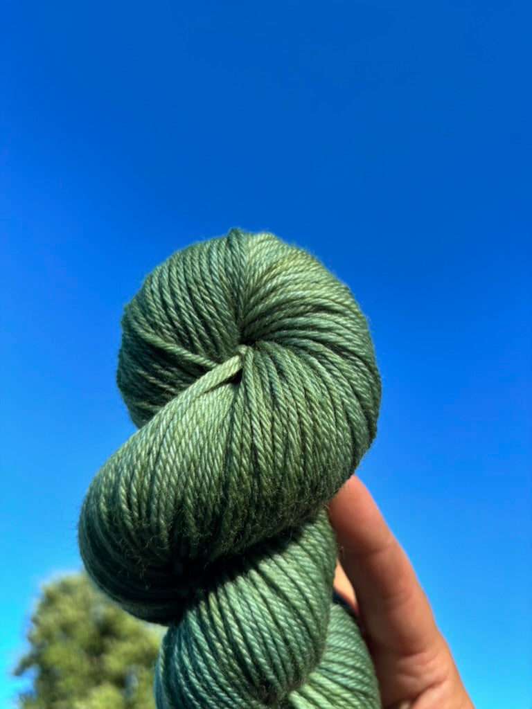 Eucalyptus