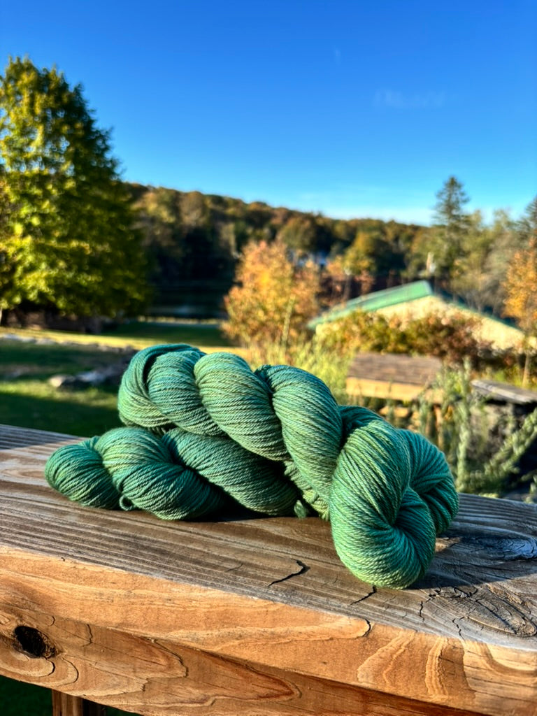 Eucalyptus