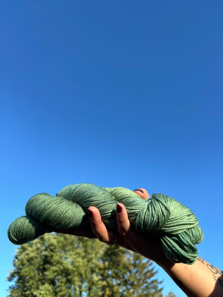 Eucalyptus