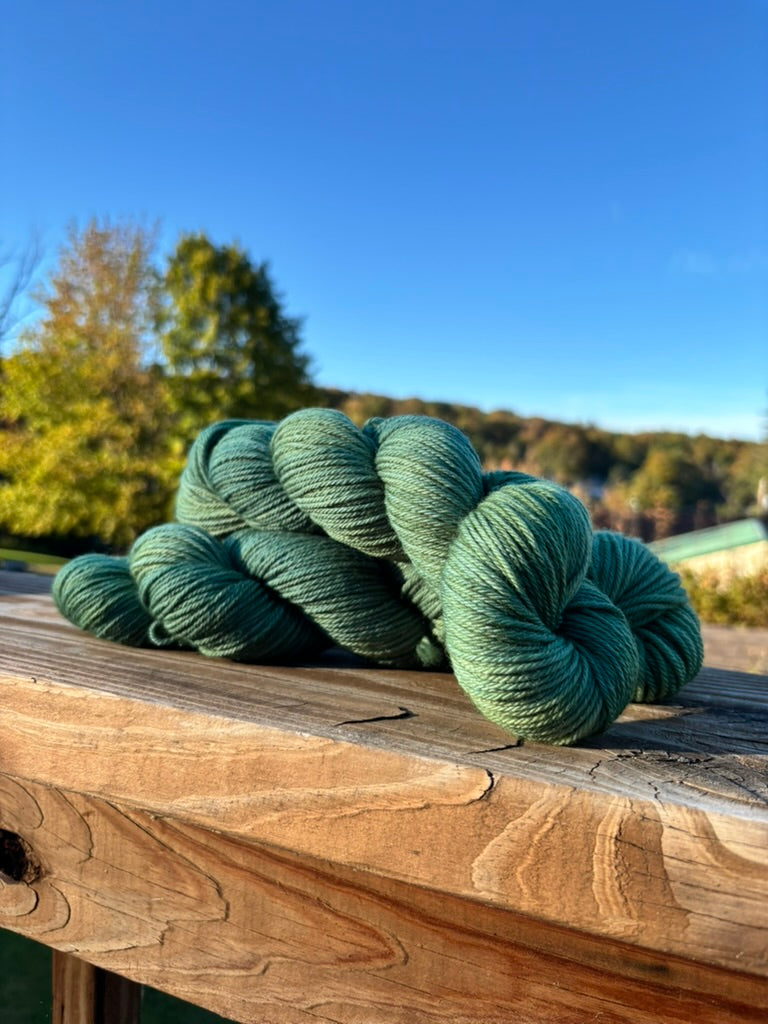 Eucalyptus