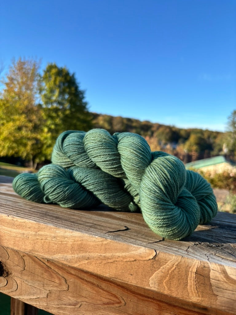 Eucalyptus