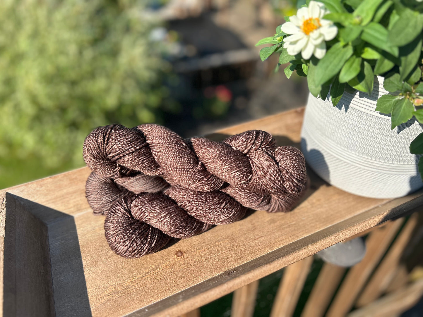 Pecan Noir