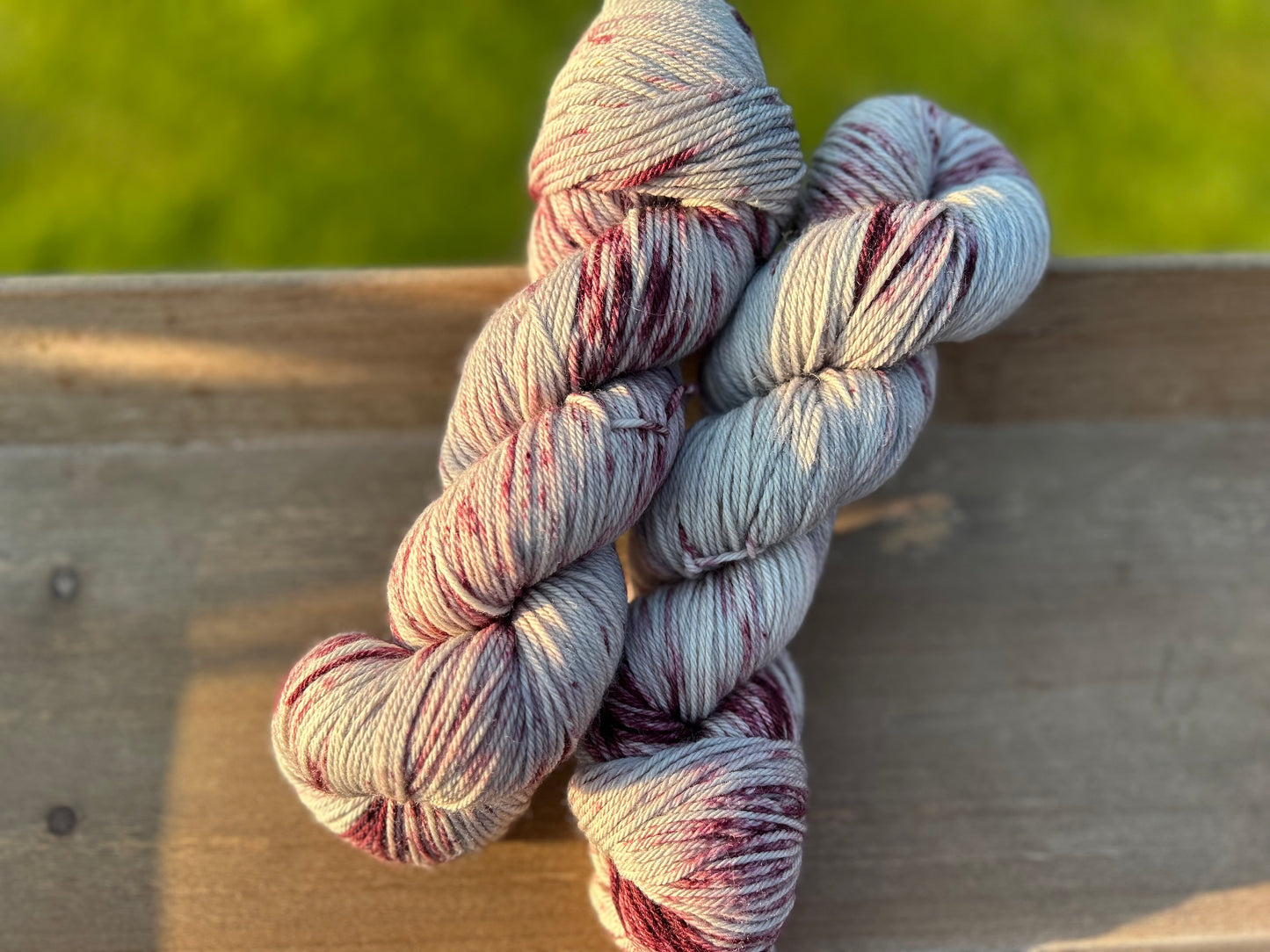 Winter Berry