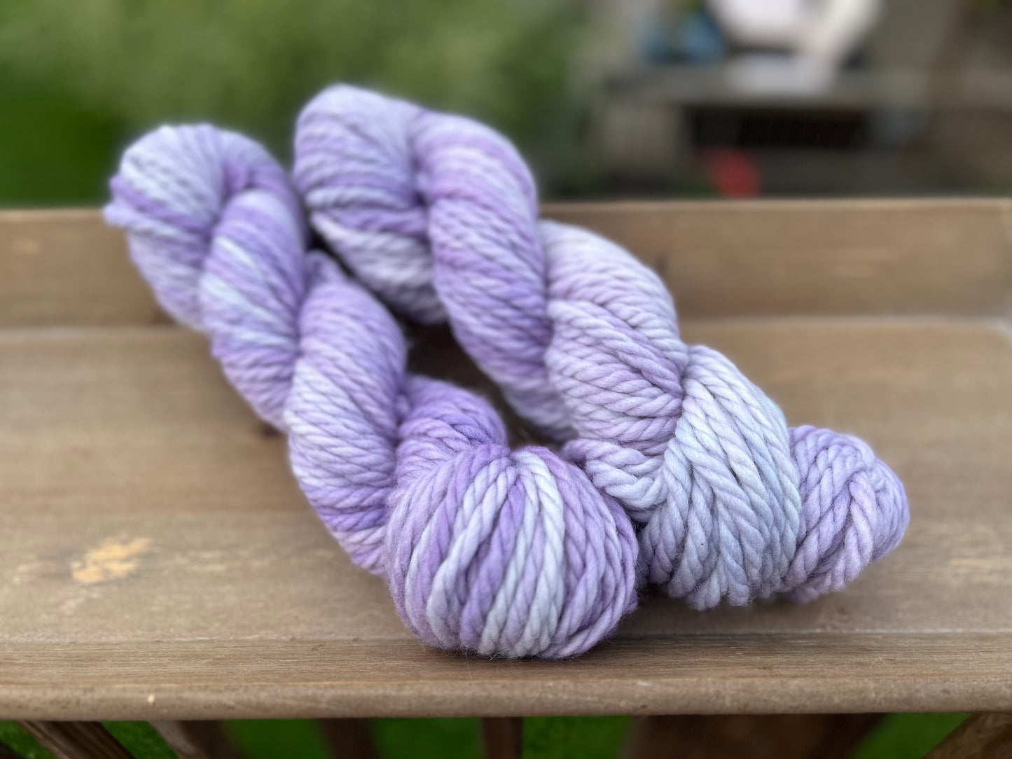 Wisteria