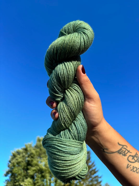 Eucalyptus