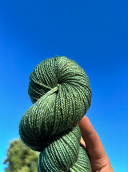Eucalyptus