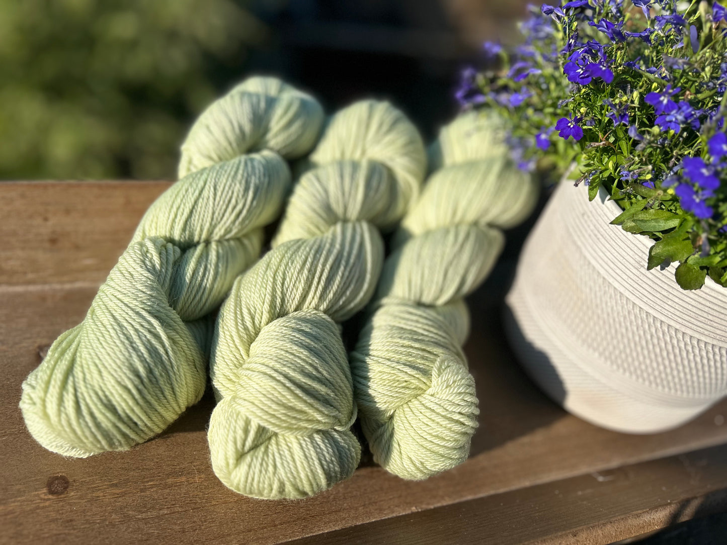 Mint