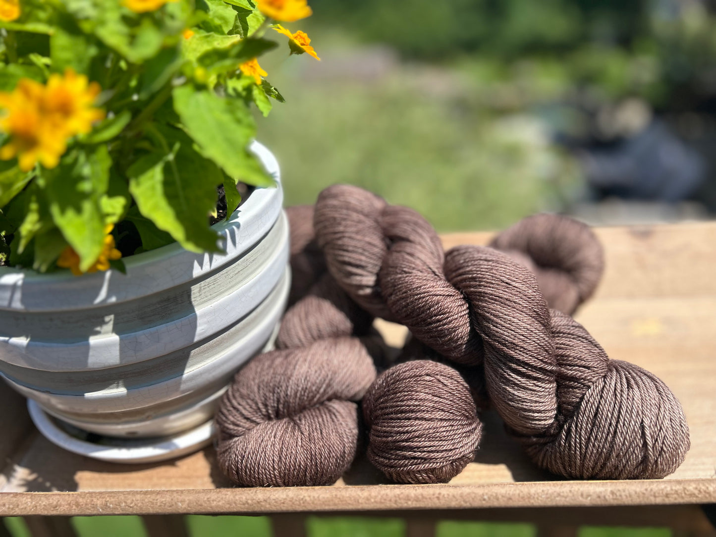 Pecan Noir