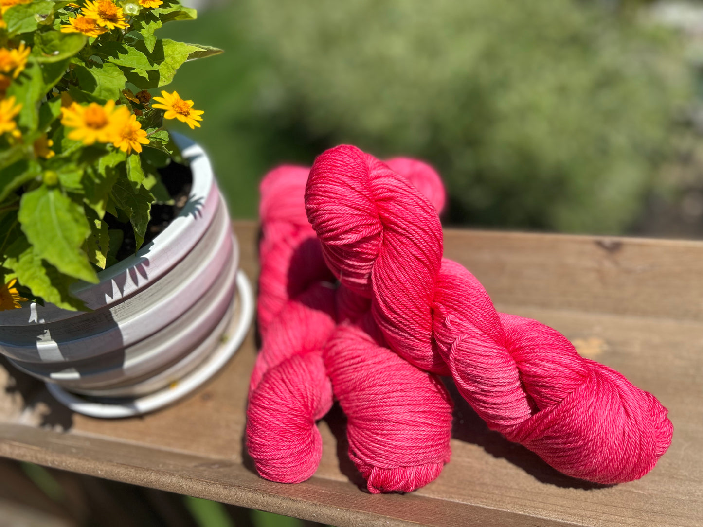 Watermelon Sugar